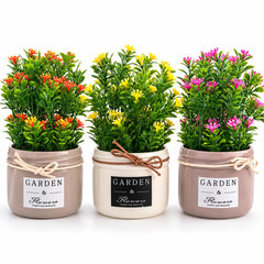 TRENDY HOME DECOR PLANT