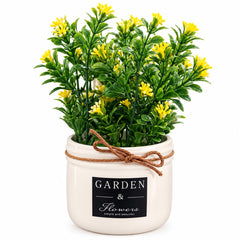 TRENDY HOME DECOR PLANT