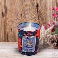 HOME FRAGRANCE RED RASPBERRY SCENTED CANDLE